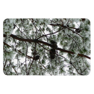 Unter dem schneebedeckten Kiefernwald WinterFoto Magnet