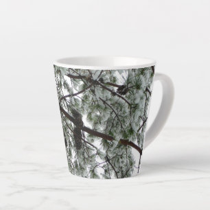 Unter dem schneebedeckten Kiefernwald WinterFoto Milchtasse