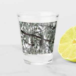 Unter dem schneebedeckten Kiefernwald WinterFoto Schnapsglas