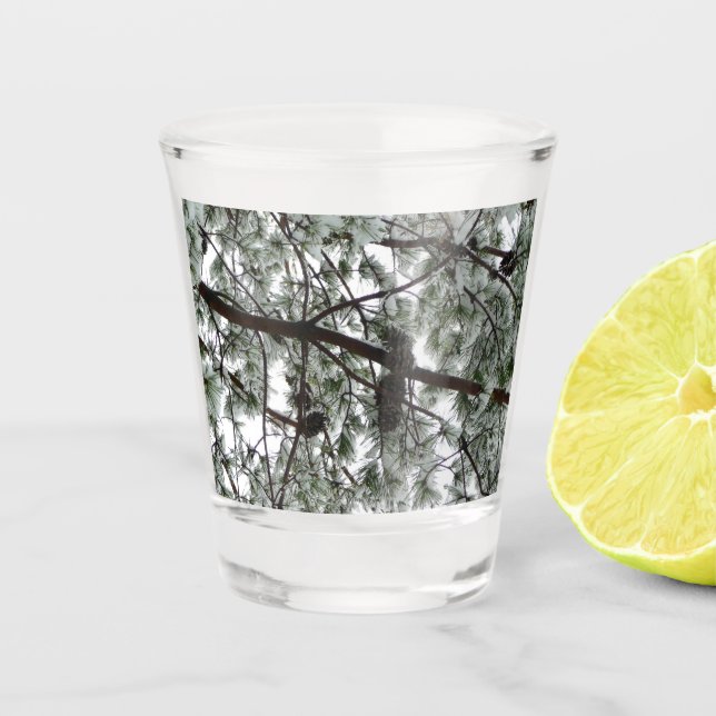 Unter dem schneebedeckten Kiefernwald WinterFoto Schnapsglas (Vorderseite)