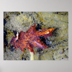 Unter dem Wasser Poster