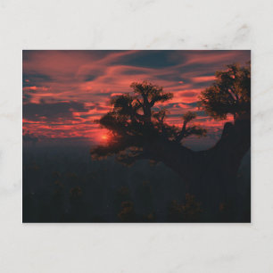 Unter den alten Postkarten