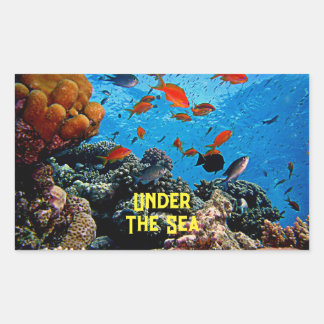 Unter den Meereskorallen Fische Meeresfauna blauer Rechteckiger Aufkleber