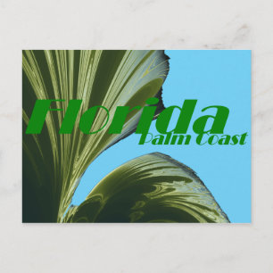 Unter der Palm Tree Post Card Postkarte