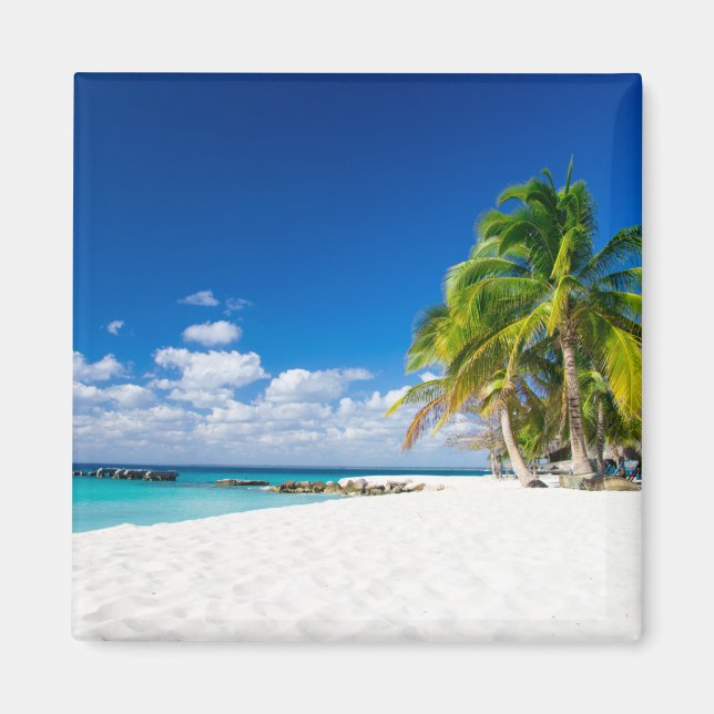 Unter der Sonne der Tropen Magnet (Vorne)