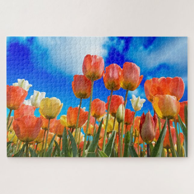 Unter einem Tulip Sky (Horizontal)
