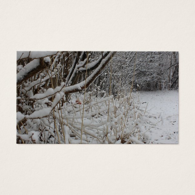 Unter einer Schneeschicht (Vorderseite)