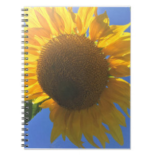 Unter einer Sonnenblume Notizblock