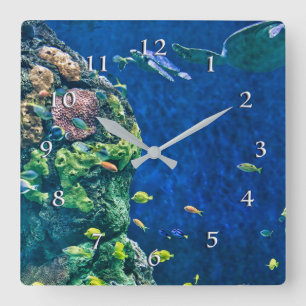 Unter Meer Schildkrötengarten Quadratische Wanduhr