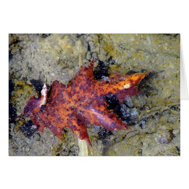 Unter Wasser (Vorderseite (Horizontal))