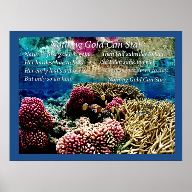 Unter Wasser Poster (Vorne)