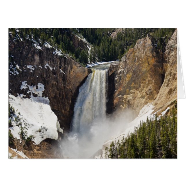 Untere Fälle des Yellowstone (Vorderseite (Horizontal))