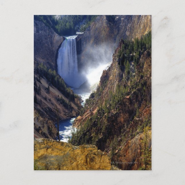 Untere Gelbsteinfälle, Yellowstone National Postkarte (Vorderseite)