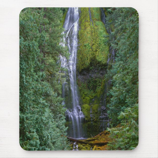 Untere Proxyfälle | Willamette National Forest Mousepad (Vorne)