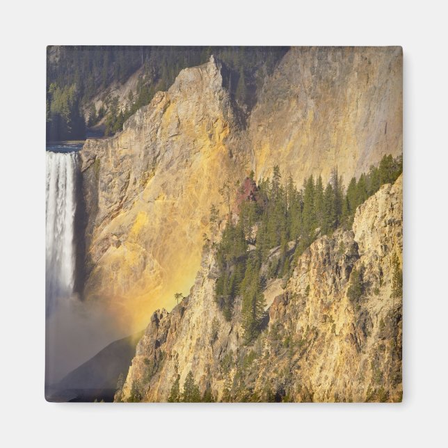 Untere Wasserfälle im Grand Canyon Magnet (Vorne)