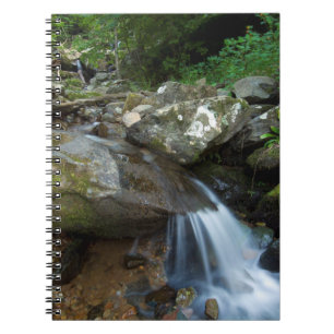 Unterer Dunkler Hollow Falls, Shenandoah Notizblock