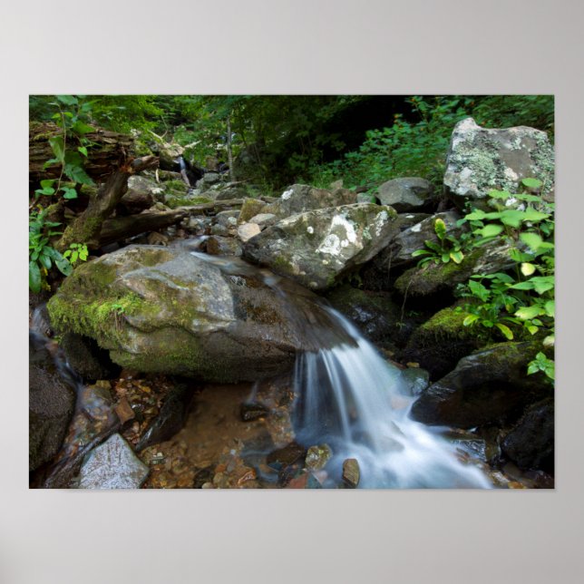 Unterer Dunkler Hollow Falls, Shenandoah Poster (Vorne)