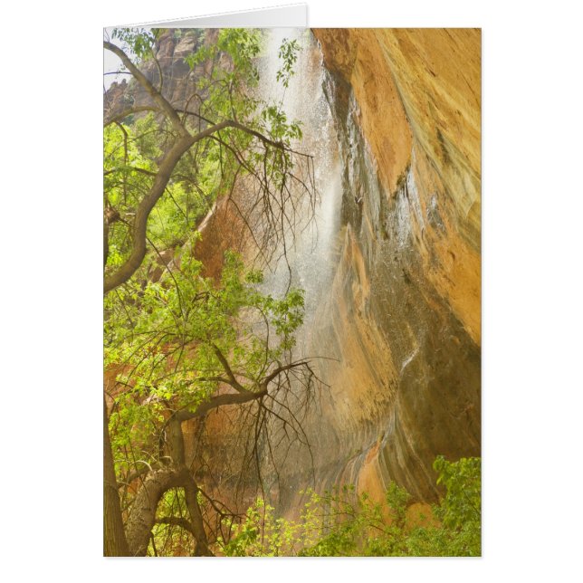 Unterer Emerald Pool Wasserfall Roter Felsen und B (Vorne)