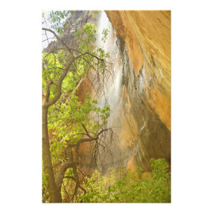 Unterer Emerald Pool Wasserfall Roter Felsen und B Fotodruck