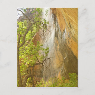 Unterer Smaragdpool Wasserfall Rote Felsen und Bau Postkarte