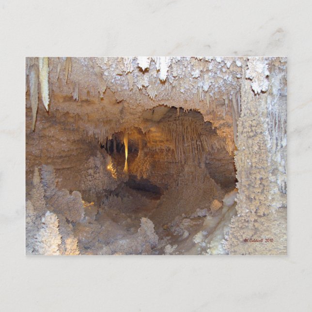 Untergrund Beauty Postkarte (Vorderseite)