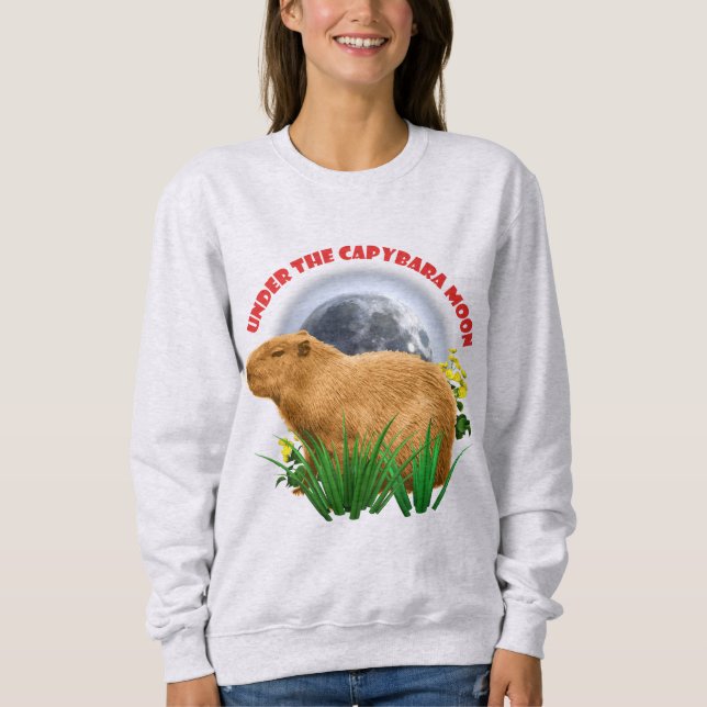 Unterhalb des Capybara Moon Funny Capybara Sweatshirt (Vorderseite)