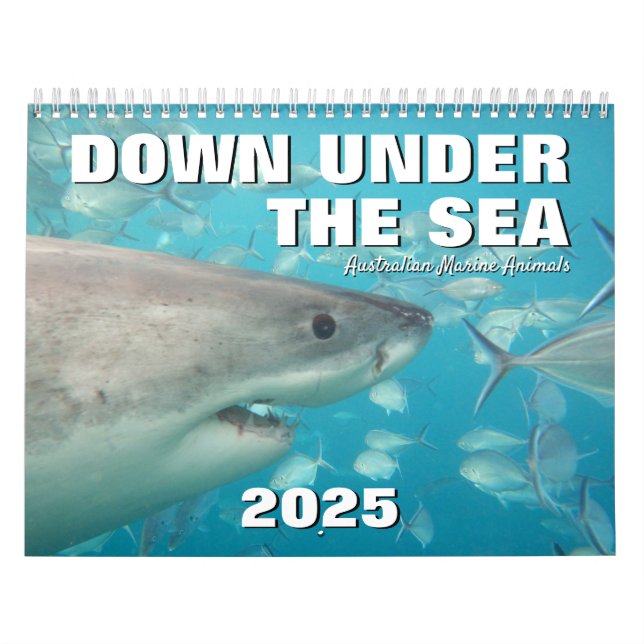 Unterhalb des Meeres Australiens Meerestiere Kalender (Titelbild)