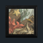 Unterhalb des Meeres Schmuckschachtel<br><div class="desc">Gehen Sie unter Wasser, um das Meer mit all diesen verschiedenen Meereslebewesen zu erkunden. Dieses Vintage Kunstwerk ist eine perfekte Ergänzung für alle Seemannliebhaber. Es fängt Meereswelt mit Seestern, Seetang, Algen und anderen Meereslebewesen ein. Holen Sie sich noch heute Ihren Kunstdruck auf Ihr Produkt.</div>