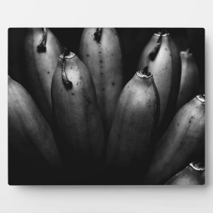 unterhaltsamer Haufen Fotoplatte