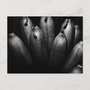 unterhaltsamer Haufen Postkarte