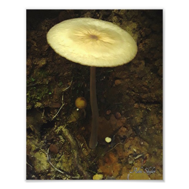 Unterkunft Fotodruck (Vorne)