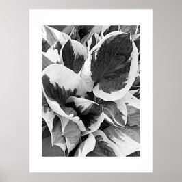 Unterkunft in Schwarz/Weiß Poster