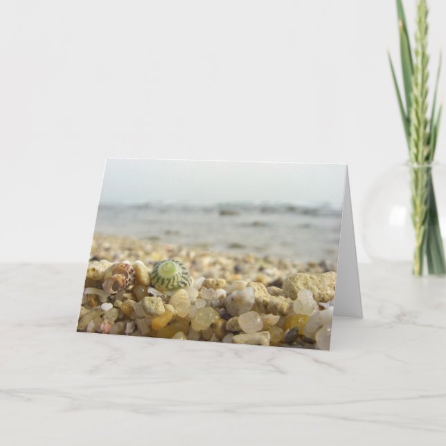Unterschied - Muschel und Kiesel am Strand Karte (Vorderseite)