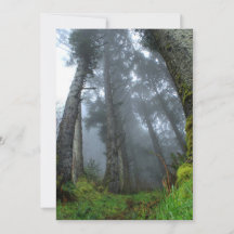 Unterschrift: Matte 5" x 7", Standard-weiße Umschl
