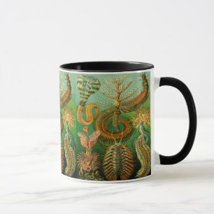 Unterseeische Farbe Tasse