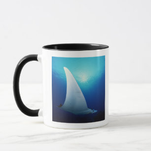 Unterseite eines Mantarochens Tasse