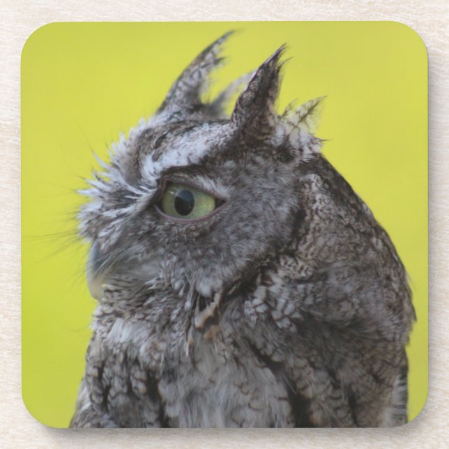 Untersetzer (Vorderseite)