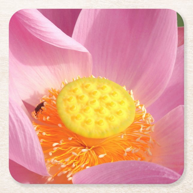 Untersetzer (Vorderseite)