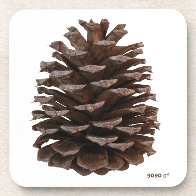 Untersetzer (Vorderseite)