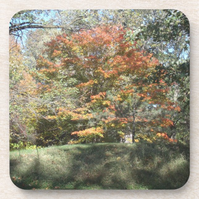 Untersetzer (Vorderseite)