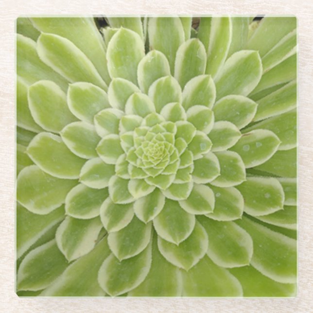 Untersetzer (Vorderseite)