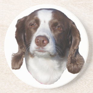Untersetzer aus Braunbein und Weißem Hund