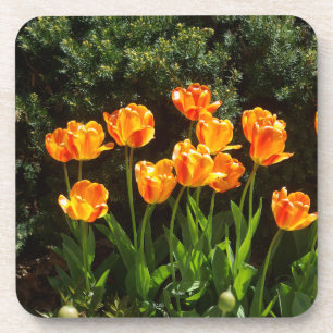 Untersetzer aus Gelb und Orange