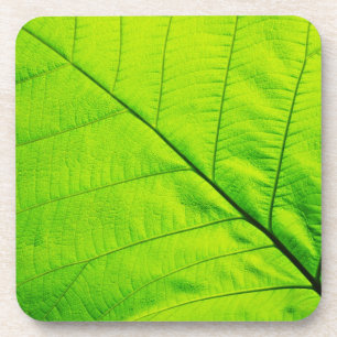 Untersetzer aus grünem Leaf