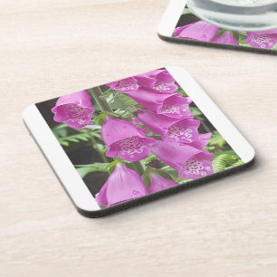 Untersetzer aus Hartkunststoff mit Korkrückenversc