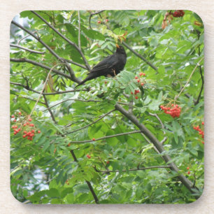Untersetzer Blackbird und Berries Cork