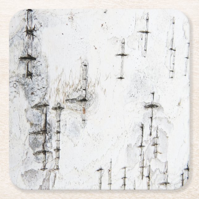 Untersetzer der Birkenrinde (Vorderseite)