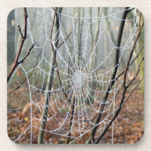 Untersetzer der europäischen Gartenspinne