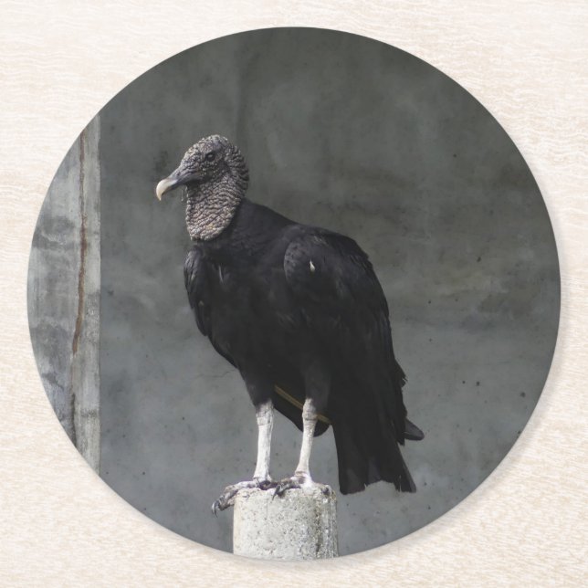 Untersetzer der Vulkaniumplatte (Vorderseite)