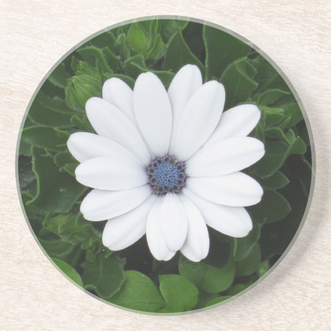 Untersetzer der weißen Blume (Vorne)